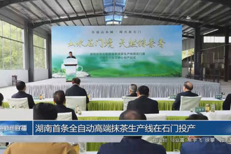 湖南首条全自动高端抹茶生产线在石门投产