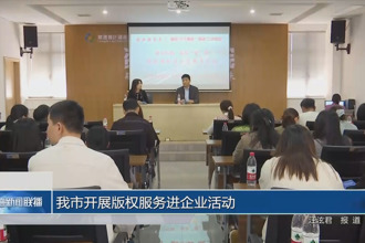 常德市开展版权服务进企业活动