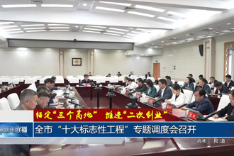 常德市“十大标志性工程”专题调度会召开