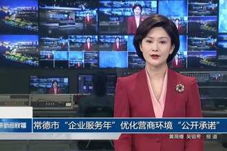 常德市“企业服务年”优化营商环境“公开承诺”（第十期）