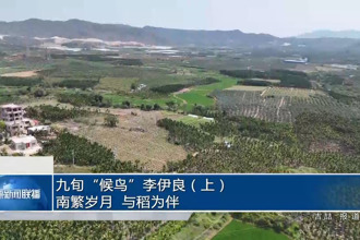 九旬“候鸟”李伊良（上）——南繁岁月，与稻为伴