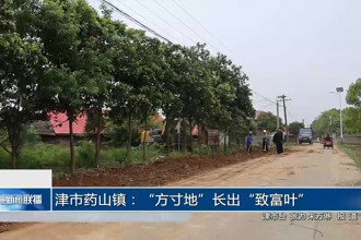 津市药山镇：“方寸地”长出“致富叶”