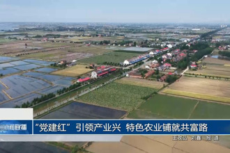 “党建红”引领产业兴 特色农业铺就共富路