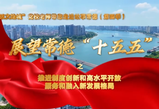 【以文绘城】推进制度创新和高水平开放，服务和融入新发展格局