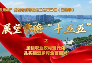 【以文绘城】加快农业农村现代化，扎实推进乡村全面振兴