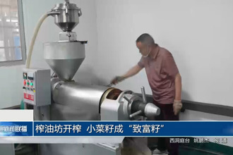 榨油坊开榨 小菜籽成“致富籽”