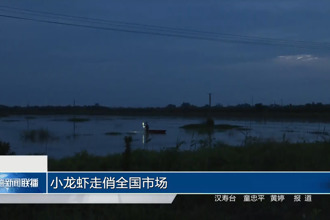 小龙虾走俏全国市场