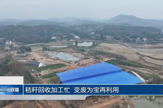 秸秆回收加工忙 变废为宝再利用