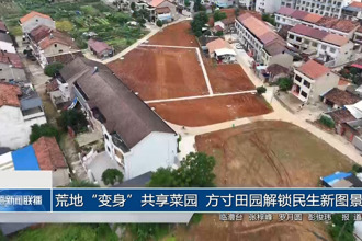 荒地“变身”共享菜园 方寸田园解锁民生新图景