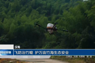 汉寿：飞防治竹蝗 护万亩竹海生态安全