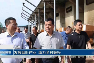 临澧：发展烟叶产业 助力乡村振兴