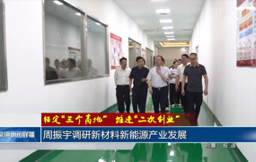 周振宇调研新材料新能源产业发展