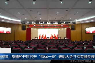 常德经开区召开“两优一先”表彰大会并授专题党课