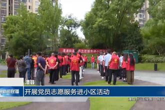 澧县：开展党员志愿服务进小区活动