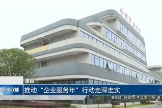 澧县：推动“企业服务年”行动走深走实