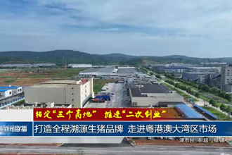 打造全程溯源生猪品牌 走进粤港澳大湾区市场