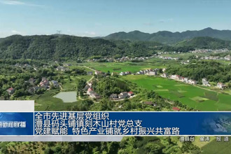 常德市先进基层党组织澧县码头铺镇刻木山村党总支：党建赋能 特色产业铺就乡村振兴共富路