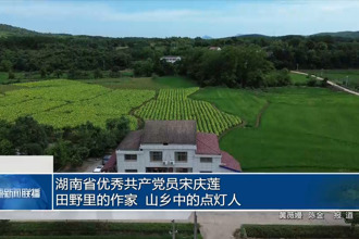 湖南省优秀共产党员宋庆莲：田野里的作家 山乡中的点灯人
