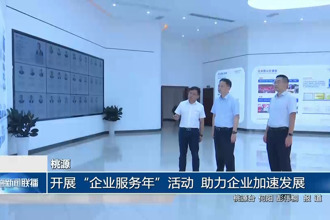 桃源：开展“企业服务年”活动 助力企业加速发展
