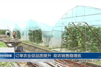 订单农业促品质提升 助农销售稳增收
