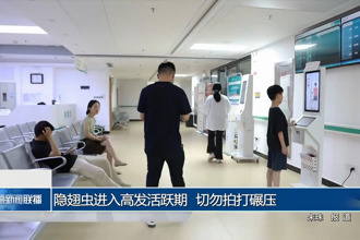 隐翅虫进入高发活跃期 切勿拍打碾压