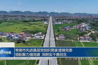 常德市先进基层党组织易家渡镇党委： 领航聚力强党建 深耕实干惠民生