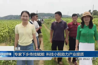 临澧：专家下乡传技赋能 科技小院助力产业提质