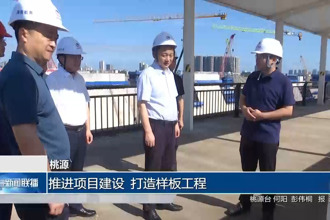 桃源：推进项目建设 打造样板工程