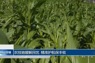 农技驰援解民忧 精准护航保丰收