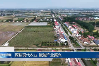 深耕现代农业 赋能产业振兴