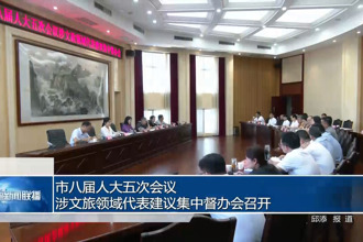 市八届人大五次会议涉文旅领域代表建议集中督办会召开
