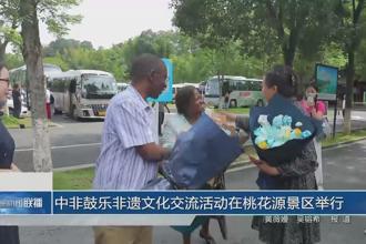 中非鼓乐非遗文化交流活动在桃花源景区举行