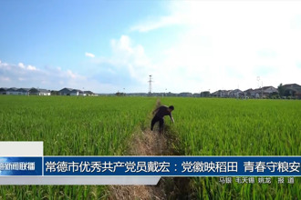 常德市优秀共产党员戴宏：党 徽映稻田 青春守粮安