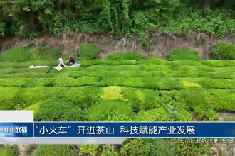“小火车”开进茶山 科技赋能产业发展