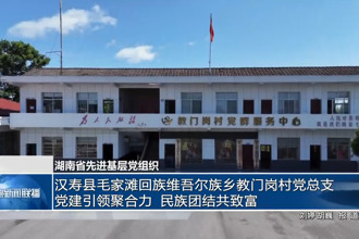 湖南省先进基层党组织 汉寿县毛家滩回族维吾尔族乡教门岗村党总支：党建引领聚合力 民族团结共致富