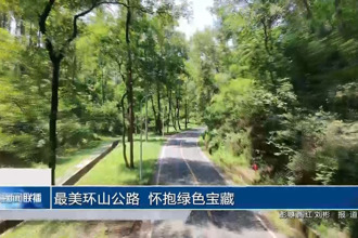 最美环山公路 怀抱绿色宝藏