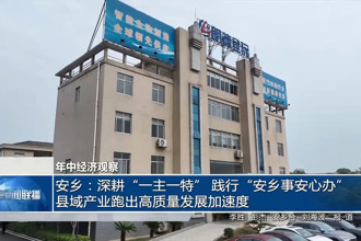 安乡：深耕“一主一特” 践行“安乡事安心办” 县域产业跑出高质量发展加速度