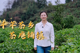 【故事常德·委员讲亲历】王小娅：“千年茶乡”茶庵铺