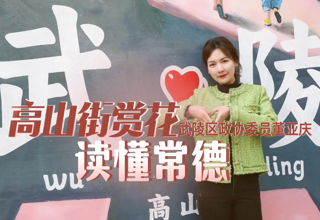 【故事常德·委员讲亲历】董亚庆：高山街赏花 读懂常德