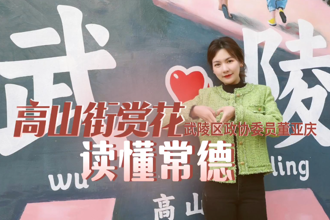 【故事常德·委员讲亲历】董亚庆：高山街赏花 读懂常德