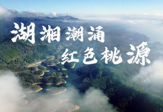 【故事常德·委员讲亲历】刘伟利：红色桃源 竹艺匠心