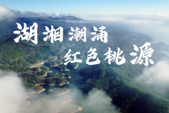 【故事常德·委员讲亲历】刘伟利：红色桃源 竹艺匠心