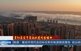 桃源：推动市党代会目标任务在桃源高效落地 结出硕果