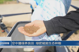 空中播绿养良田 绿肥赋能生态种粮