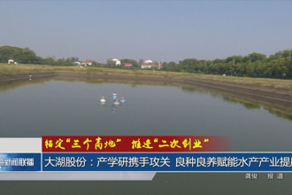 大湖股份：产学研携手攻关 良种良养赋能水产产业提质