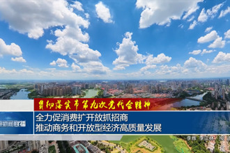贯彻落实市第九次党代会精神 全力促消费扩开放抓招商 推动商务和开放型经济高质量发展
