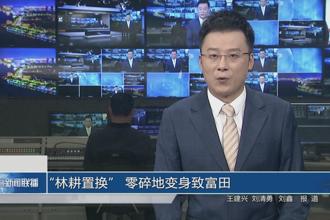 “林耕置换”零碎地变身致富田