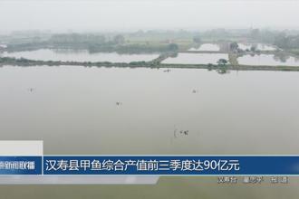 汉寿县甲鱼综合产值前三季度达90亿元