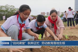 “田间课堂”秋种正忙 劳动教育落地生根