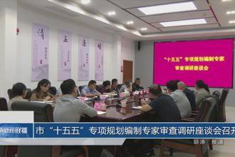 市“十五五”专项规划编制专家审查调研座谈会召开